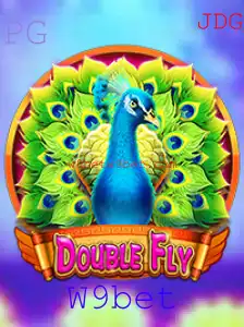Explorando o Mundo de DoubleFly: Um Guia Completo
